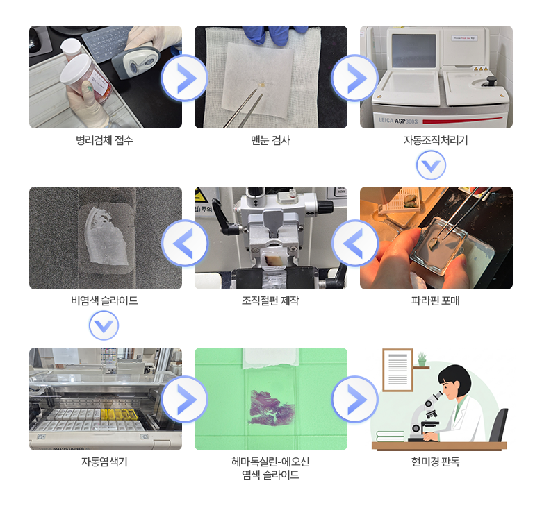 병리검체 접수 > 맨눈 검사 > 자동조직처리기 > 파라핀 포매 > 조직절편 제작 > 비염색 슬라이드 > 자동염색기 > 헤마톡실린-에오신 염색 슬라이드 > 현미경 판독